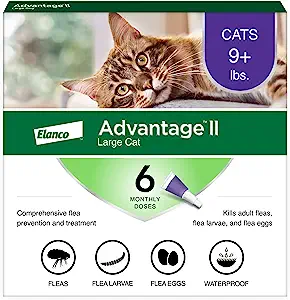 Advantage IIYueua Flea Prevention for Large Cats 6 Monthly Treatments